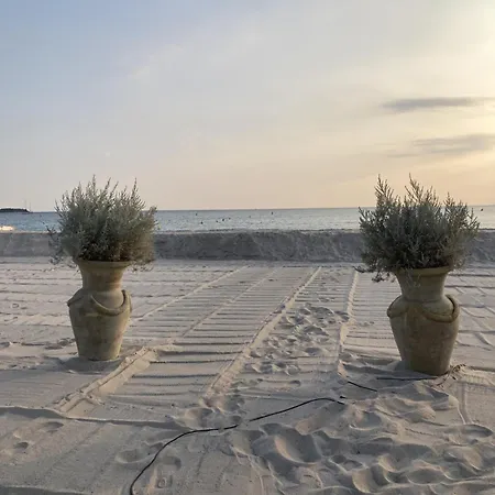 Appartamento Beau 2 Pièces à Cannes, 4 Couchages Refait à Neuf, 15mn à Pied Du Palais Des Festival Cannes